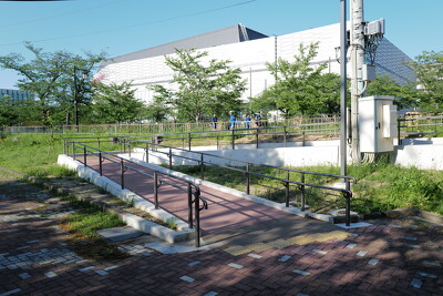 瑞穂競技場　松並木散策路