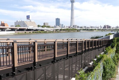 隅田川今戸　橋場地区