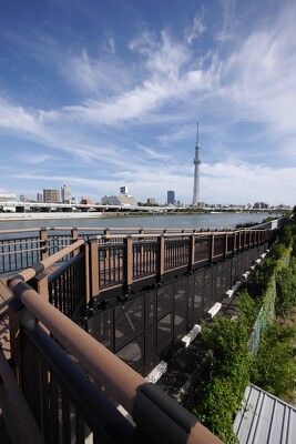 隅田川今戸　橋場地区