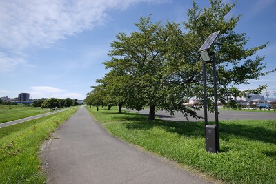 狭山市入間川河川敷