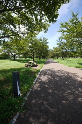 狭山市入間川河川敷
