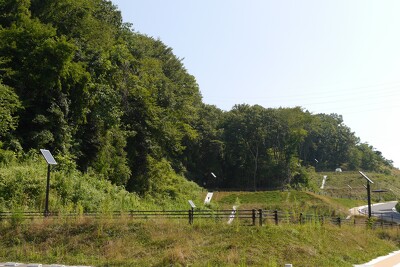 21世紀の森公園