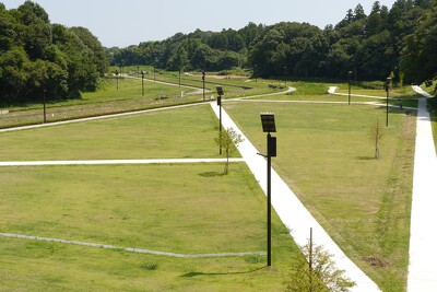 ひたちなか市親水性中央公園の施工写真