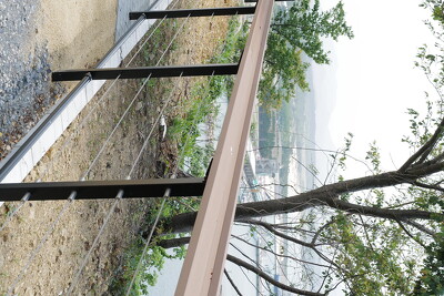 魚見公園