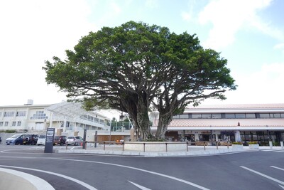 八重瀬観光交流拠点施設
