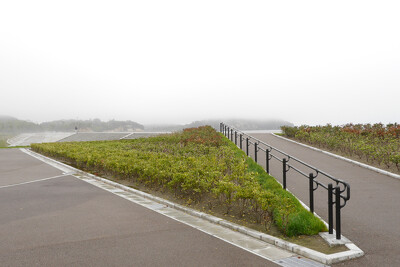 菖蒲田海浜公園