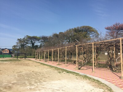 芦屋中央公園