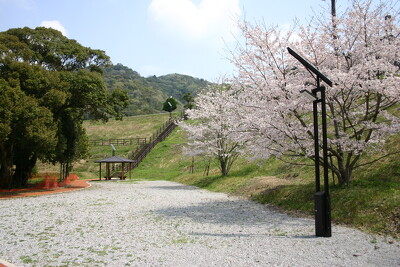 臼杵市総合運動公園の施工写真