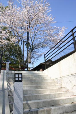 水俣市湯の鶴温泉