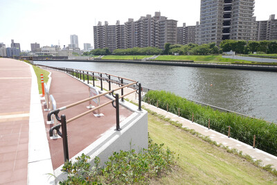 隅田川(千住大橋地区)